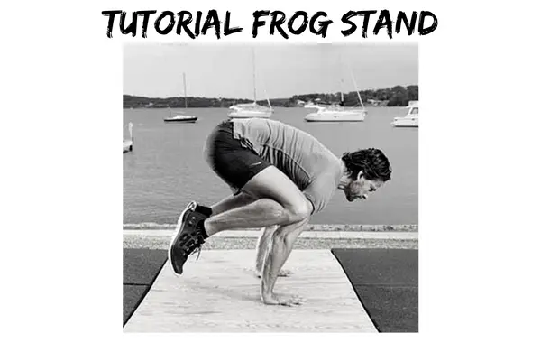 Tutorial frog Stand